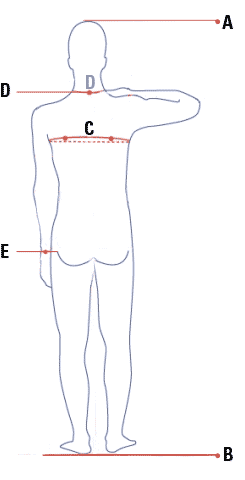 Regalia Measuring Chart