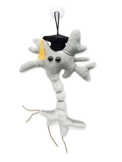 Graduation Brain Cell - #7336049