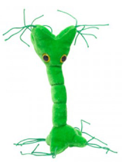 Nerve Cell Giant Microbe - #7252637