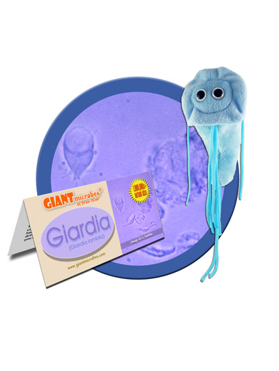 Giardia Giant Microbe - #7205969