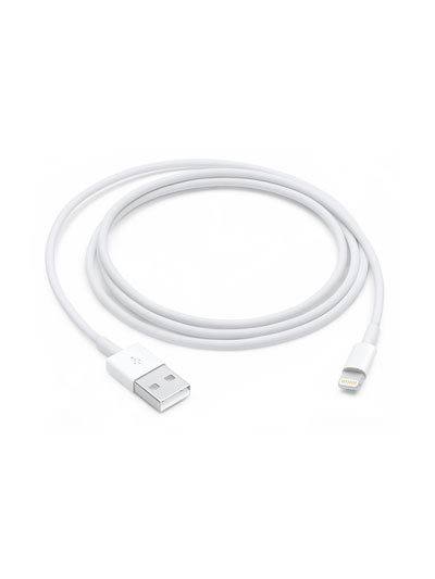APPLE 1M USB-A TO LIGHTNING CABLE - #7823341