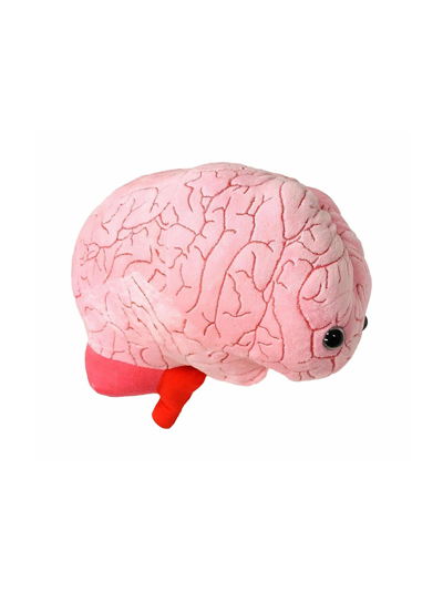 Brain Organ Microbe - #7726865