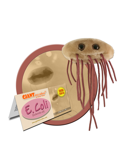 E. Coli Microbe - #7178832