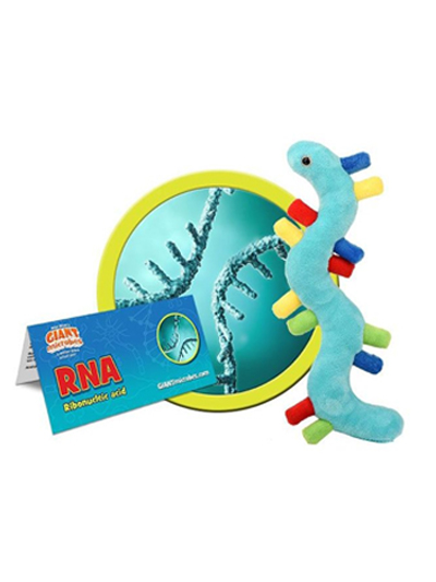 RNA Microbe - #7887612