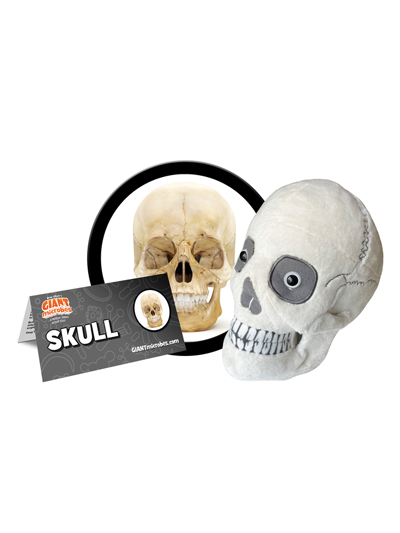 Skull Giantmicrobe - #7954967