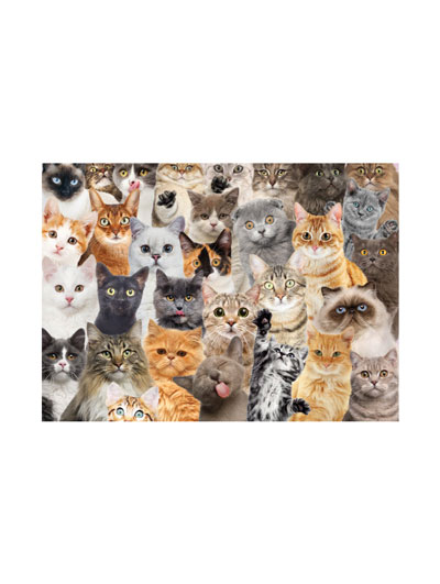 All The Cats Jigsaw Puzzle - #7918023