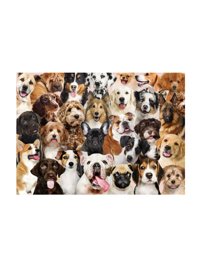 All The Dogs Jigsaw Puzzle - #7918032