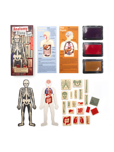 Anatomy Stamp Set - #7932210