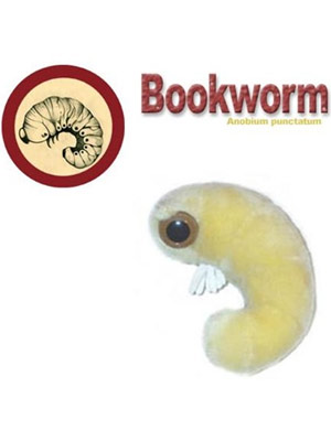 Bookworm (Anobium punctatum) Giant Microbe