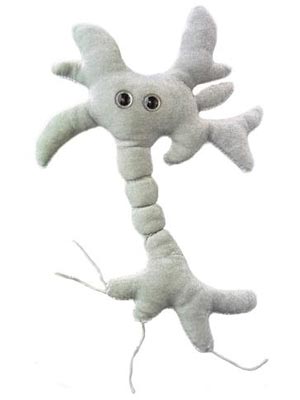 Brain Cell (Neuron) Giant Microbe - #7188696