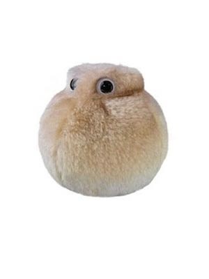 Fat Cell (Adipocyte) Giant Microbe - #7205941