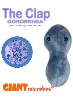 The Clap (Gonorrhea) Giant Microbe - #7242131
