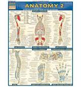 ANATOMY 2, by BARCHARTS