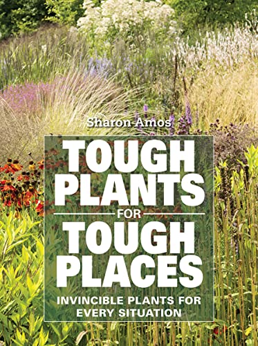 TOUGH PLANTS FOR TOUGH PLACES, by AMOS SHARON