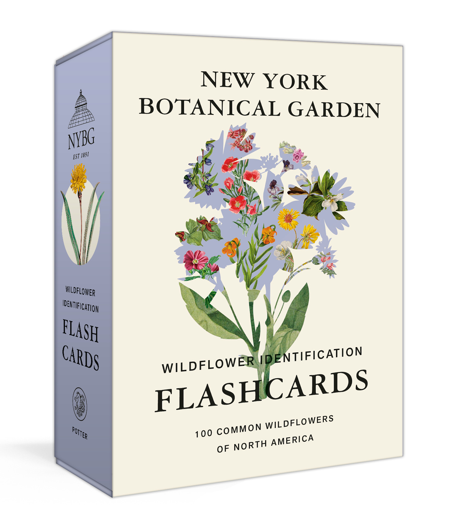 NEW YORK BOTANICAL GARDEN WILDFLOWER IDENTIFICATION FLASHCARDS, by THE NEW YORK BOTANICAL GARDEN