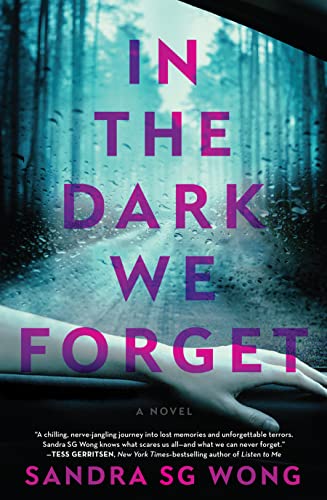 IN THE DARK WE FORGET, by WONG, S