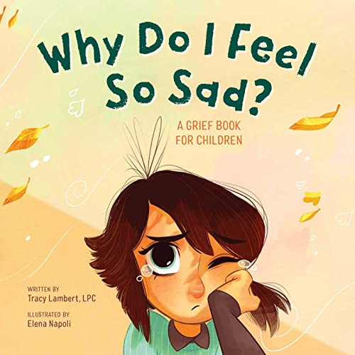 WHY DO I FEEL SO SAD? A GRIEF BOOK FOR CHILDREN, by LAMBERT, TRACY