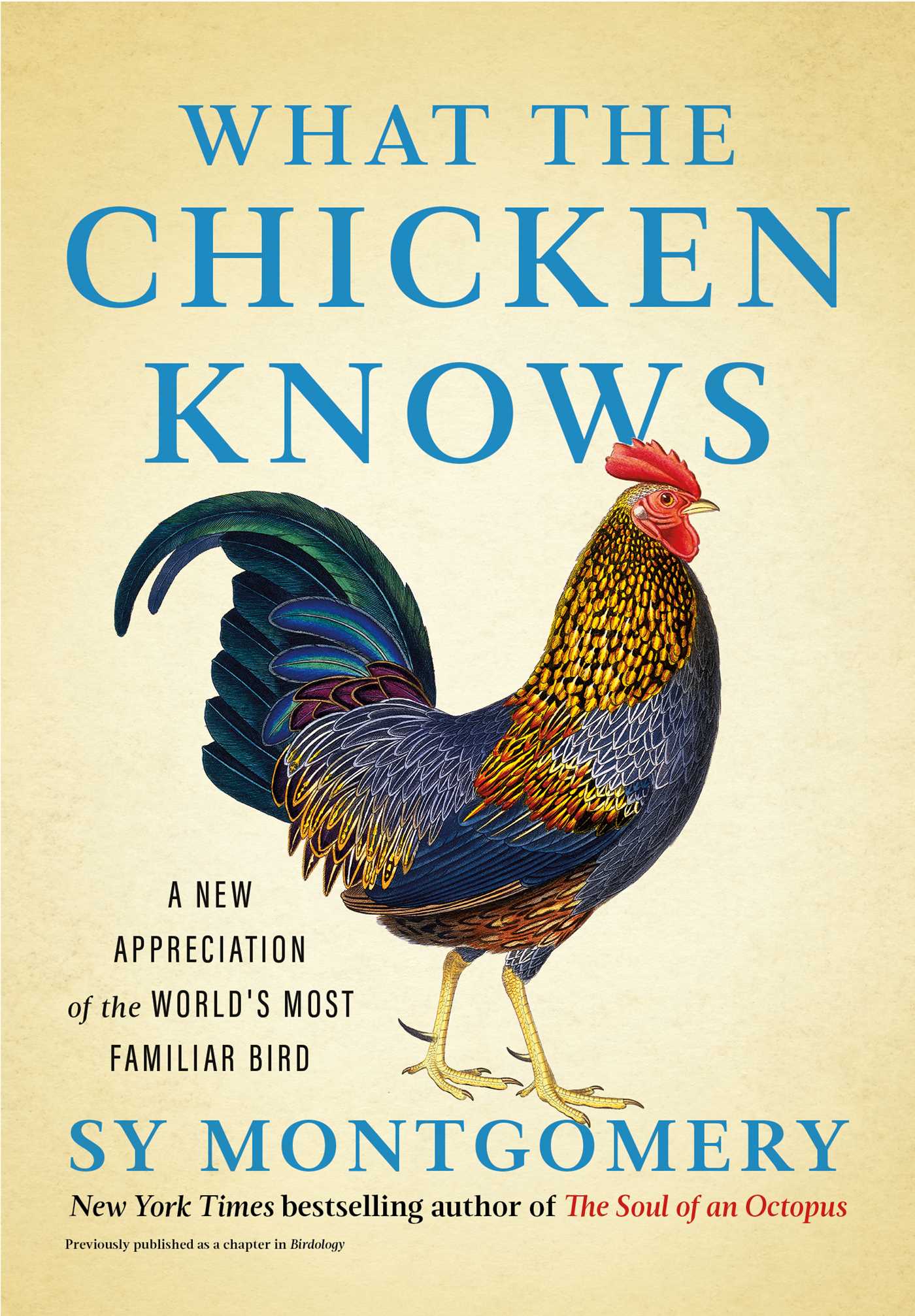 WHAT THE CHICKEN KNOWS, by MONTGOMERY , SY