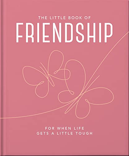 THE LITTLE BOOK OF FRIENDSHIP : FOR WHEN LIFE GETS A LITTLE TOUGH, by HIPPO