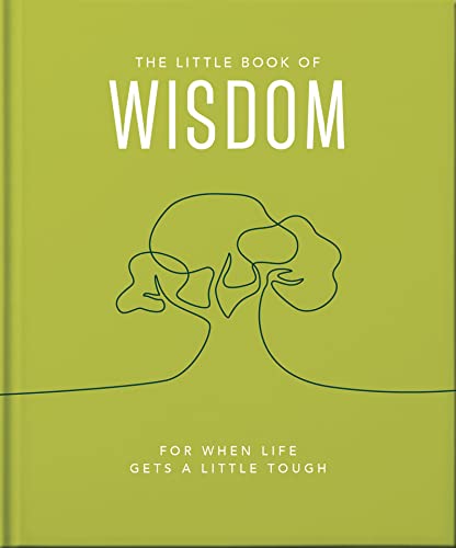 THE LITTLE BOOK OF WISDOM: FOR WHEN LIFE GETS A LITTLE TOUGH, by HIPPO
