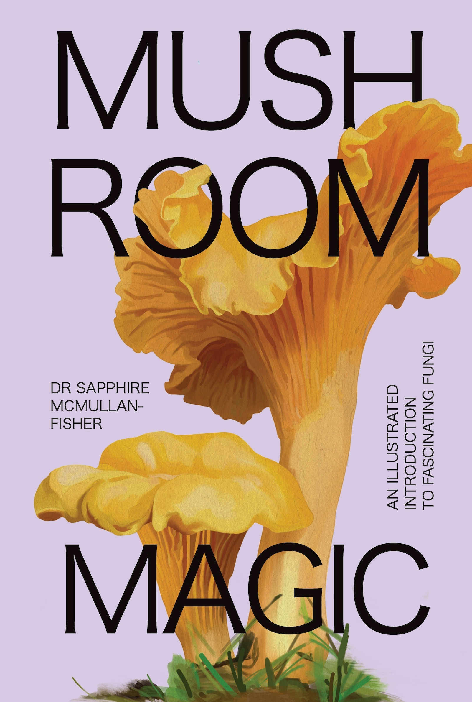 MUSHROOM MAGIC: AN ILLUSTRATED INTRODUCTION TO FASCINATING FUNGI, by MCMULLAN-FISHER, SAPPHIRE