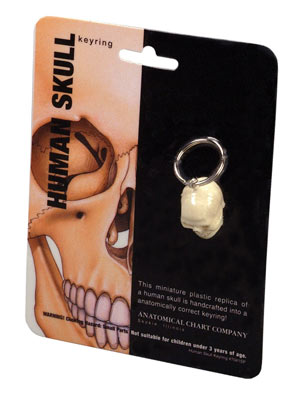 Skull Key Ring - #7386263