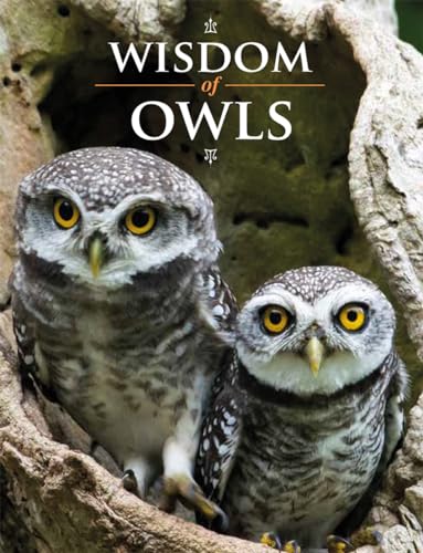WISDOM OF OWLS, by PURCELL , LISA