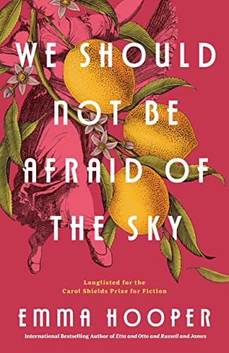 WE SHOULD NOT BE AFRAID OF THE SKY, by HOOPER, EMMA
