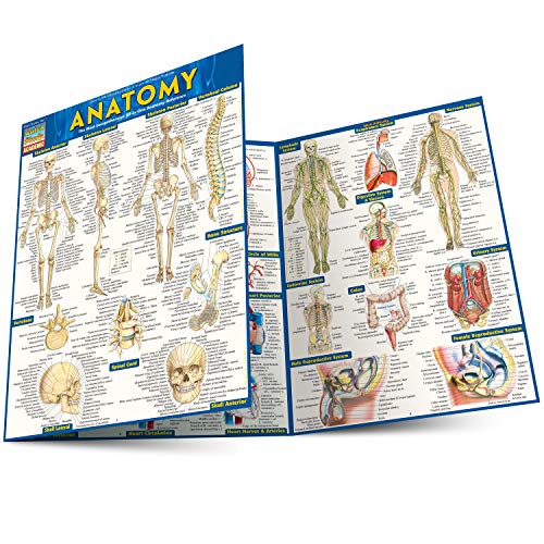 ANATOMY, by BARCHARTS