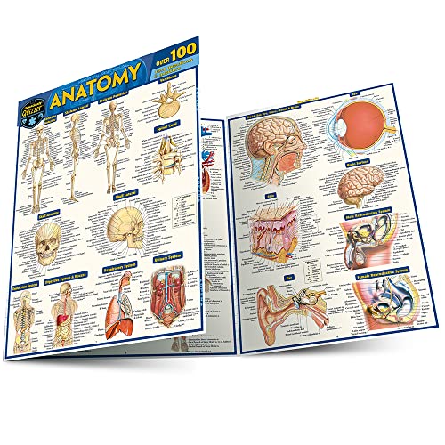 ANATOMY QUIZZER, by BARCHARTS