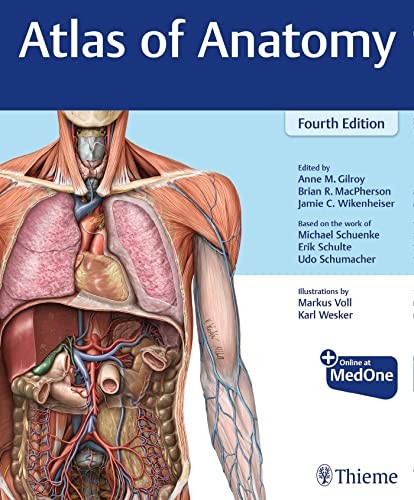 ATLAS OF ANATOMY, by GILROY, ANNE